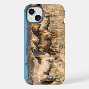 Wild horses at Wicken Fen, England, UK iPhone 15 Plus Case