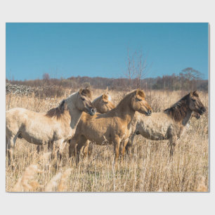 Wild horses at Wicken Fen, England, UK Wrapping Paper