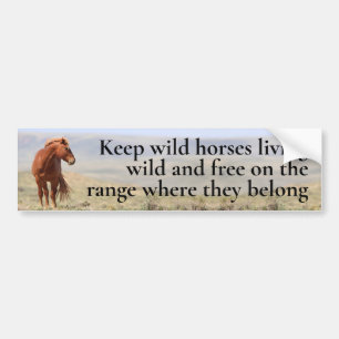 Wild Horses Bumper Sticker
