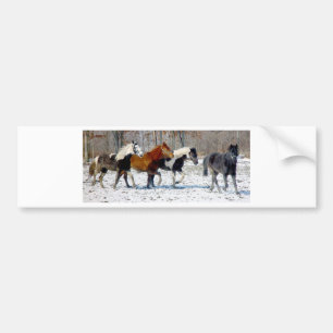 Wild Horses Bumper Sticker