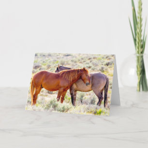 Wild Horses Card