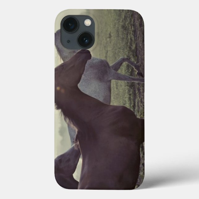 Wild horses Case-Mate iPhone case (Back)