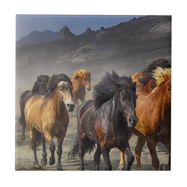 Wild Horses Ceramic Tile (Front)