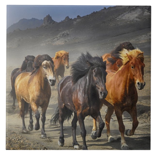 Wild horses ceramic tile (Front)