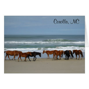 Wild Horses Corolla NC card