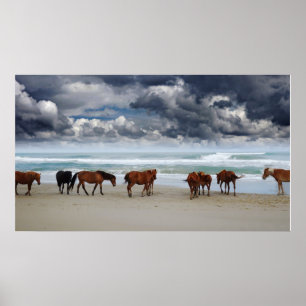 Wild Horses Corolla NC Poster