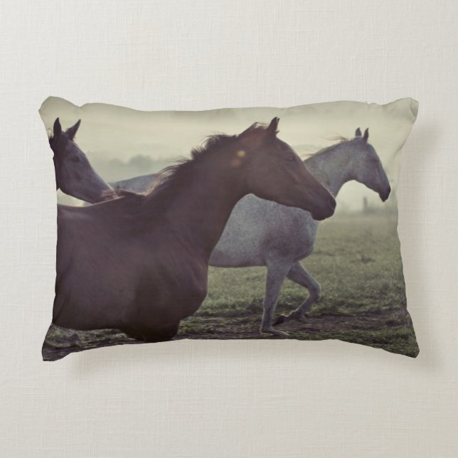 Wild horses decorative cushion (Front)