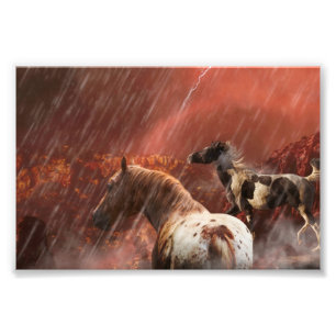 WILD HORSES DESERT STORM PHOTO PRINT