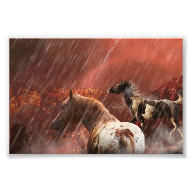 WILD HORSES DESERT STORM PHOTO PRINT (Front)