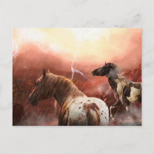 WILD HORSES DESERT STORM POSTCARD