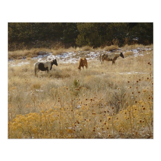 Wild Horses Glossy Poster (Front)