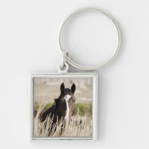 Wild horses in South Dakota Key Ring