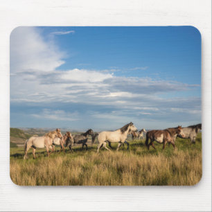 Wild Horses in Theodore Roosevelt National Park Mouse Pad