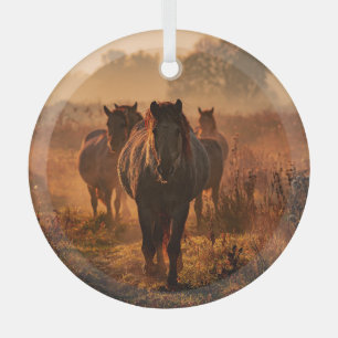 Wild Horses: Intense Gaze Encounter Glass Tree Decoration