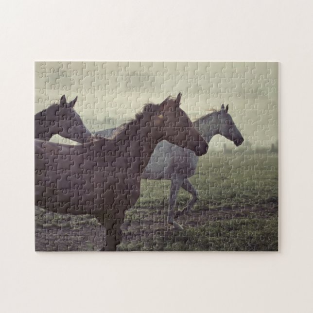 Wild horses jigsaw puzzle (Horizontal)