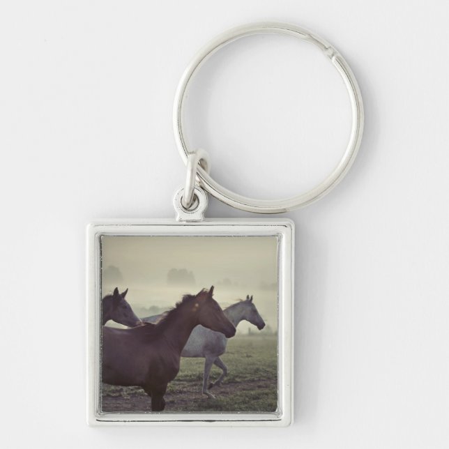 Wild horses key ring (Front)