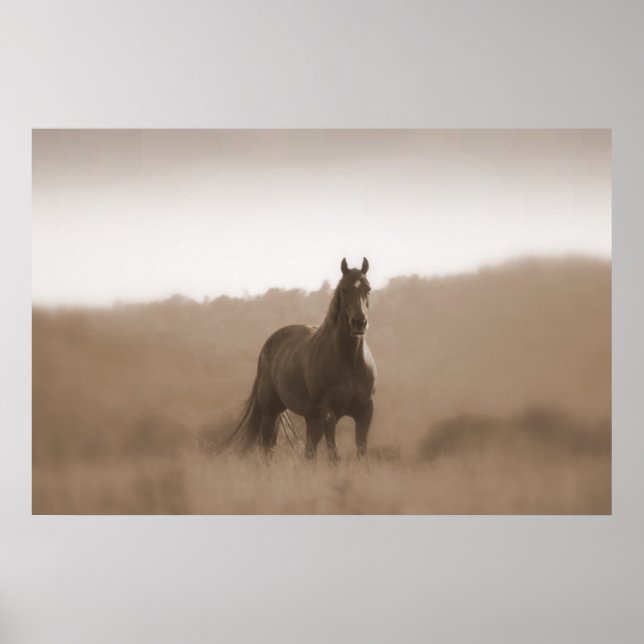 Wild Horses... Large Basic Poster (Front)