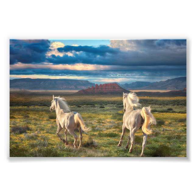 WILD HORSES “Live to Run” Photo Print (Front)