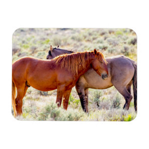 Wild Horses Magnet