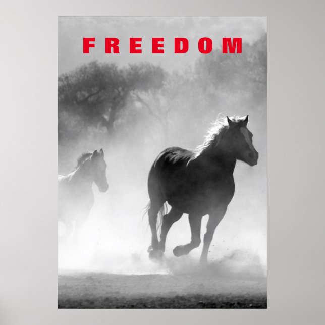 Wild Horses Motivational Freedom Artwork Poster (Front)
