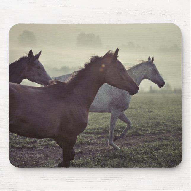 Wild horses mouse pad (Front)