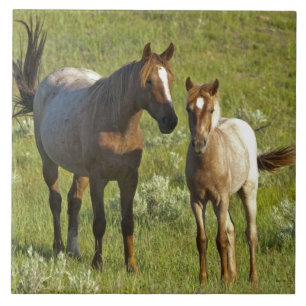 Wild Horses North Dakota Ceramic Tile