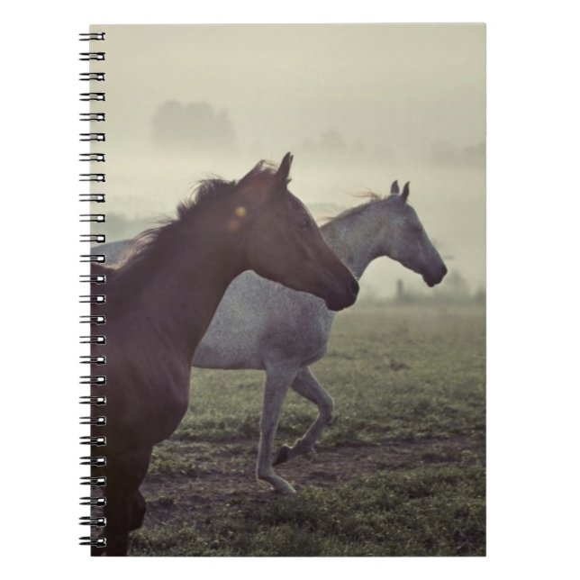 Wild horses notebook (Front)