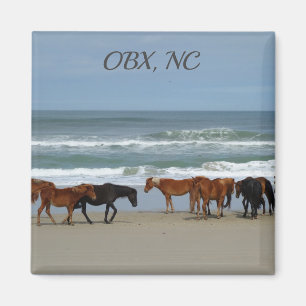 Wild Horses OBX NC Magnet
