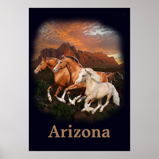 Wild Horses of Arizona  Poster (Front)