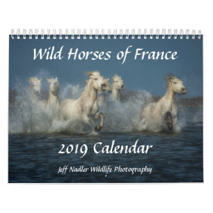 Wild Horses of France - 2019 Wall Calendar