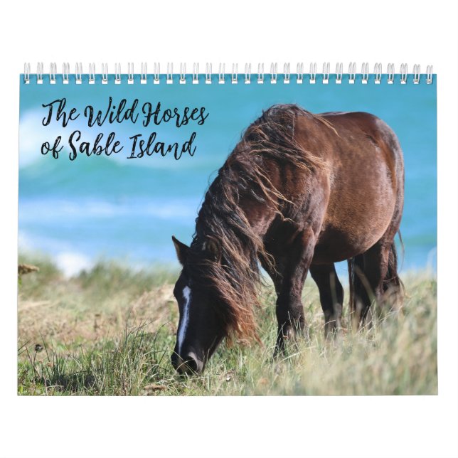 Wild Horses of Sable Island Calendar (Cover)