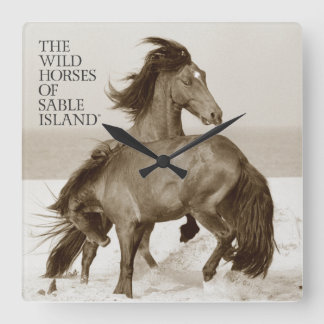 Wild Horses of Sable Island Clock