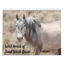 Wild Horses of Sand Wash Basin