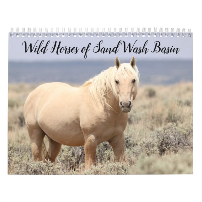 Wild Horses of Sand Wash Basin Calendar (Cover)