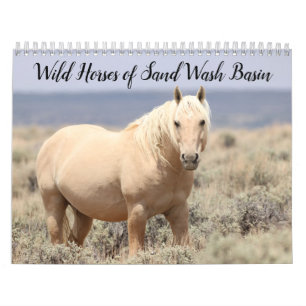 Wild Horses of Sand Wash Basin Calendar