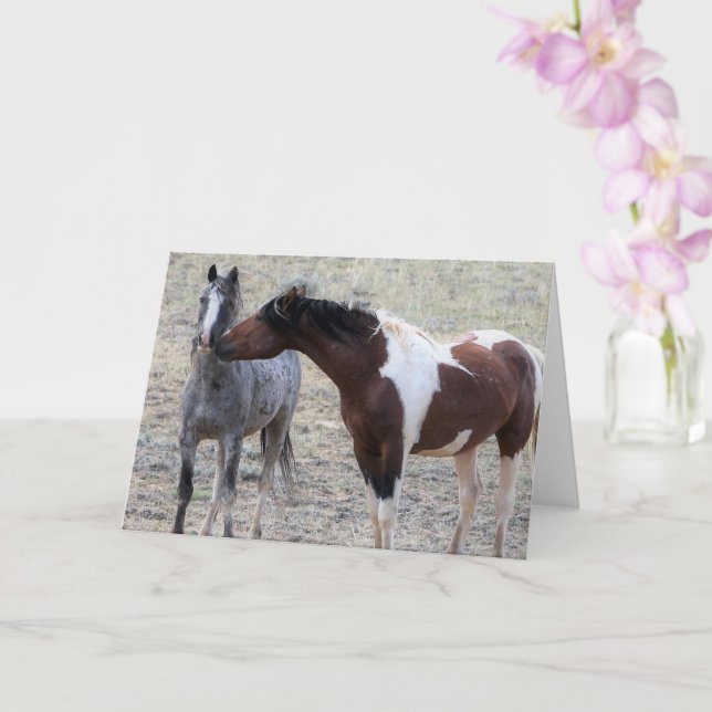 Wild Horses of the American West Card (Orchid)
