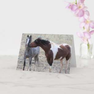 Wild Horses of the American West Card