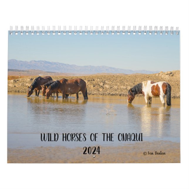 Wild Horses of the Onaqui - 2024 Calendar (Cover)