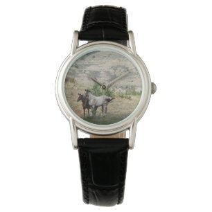 Wild Horses of Theodore Roosevelt National Park Watch