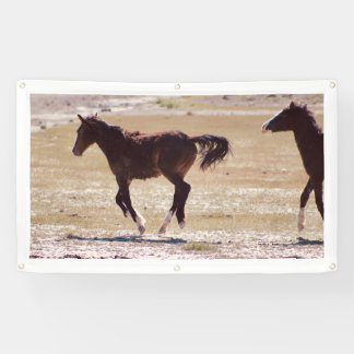 WILD HORSES OF UTAH Banner W/GROMMETS