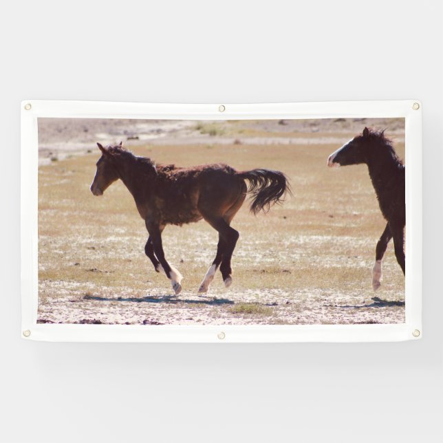 WILD HORSES OF UTAH Banner W/GROMMETS (Horizontal)