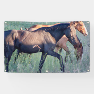 WILD HORSES OF UTAH Banner WITH GROMMETS