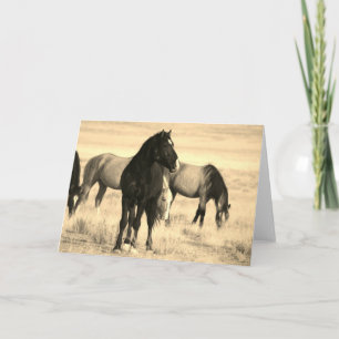 WILD HORSES OF UTAH Folded Greeting Card