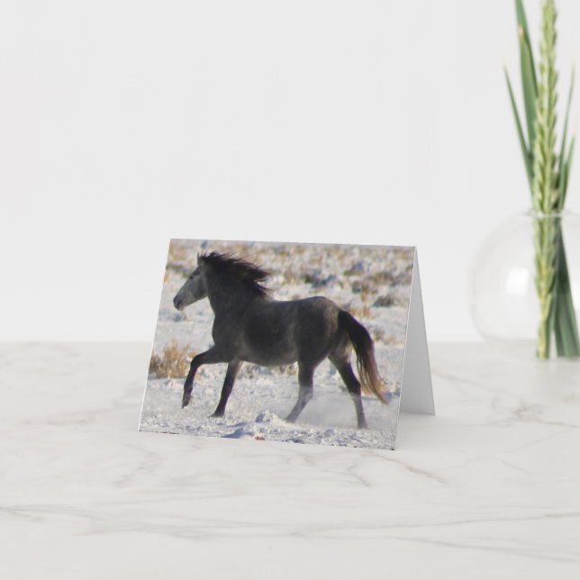 WILD HORSES OF UTAH GRAY MUSTANG IN SNOW Card (Front)