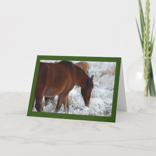 WILD HORSES OF UTAH IN THE SNOW GREETING CARD (Front)
