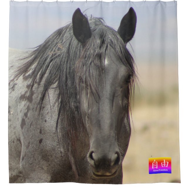 WILD HORSES OF UTAH KANJI FREEDOM SHOWER CURTAIN (Front)
