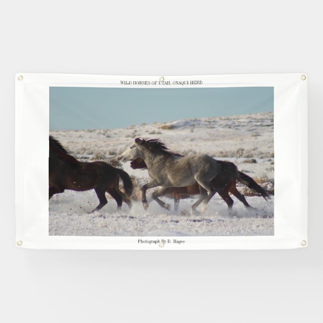 WILD HORSES OF UTAH, ONAQUI HERD Banner W/ GROMMET (Horizontal)