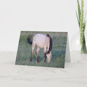 WILD HORSES OF UTAH OURAY CARD