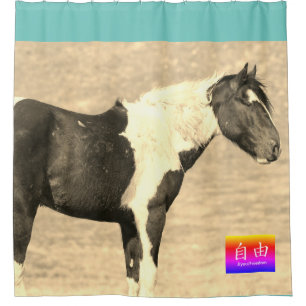 WILD HORSES OF UTAH PINTO CUSTOM SHOWER CURTAIN