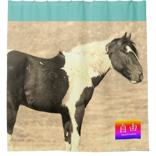 WILD HORSES OF UTAH PINTO CUSTOM SHOWER CURTAIN (Front)